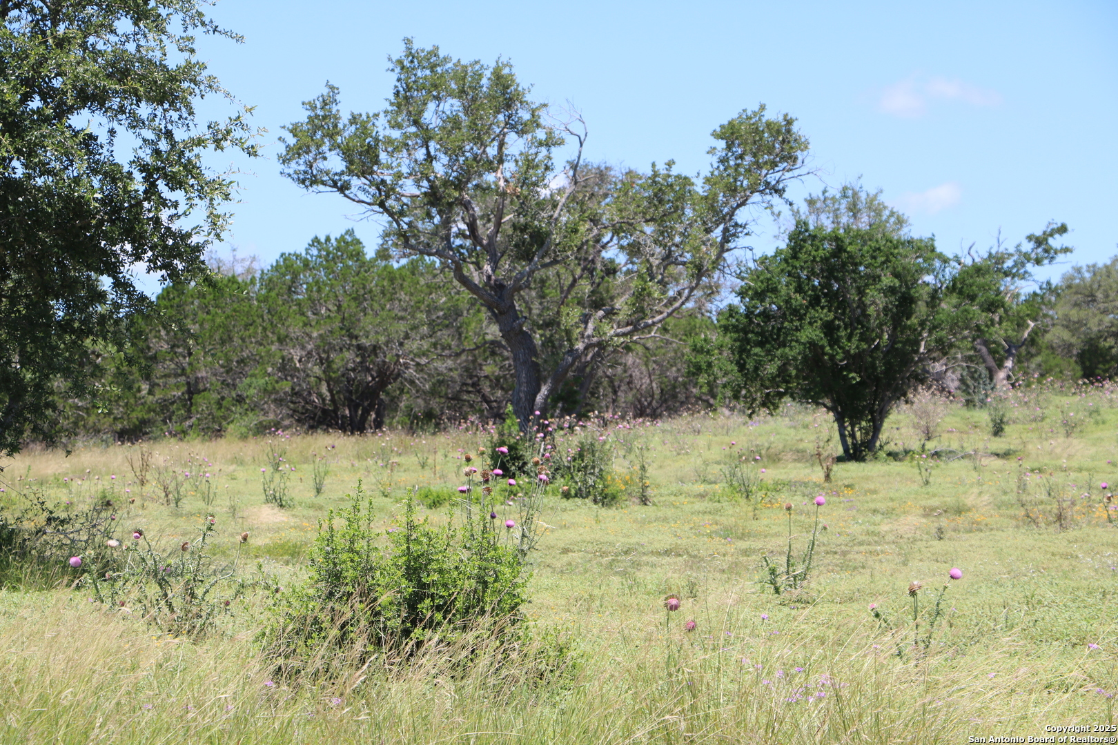 25 Seep Springs, Camp Verde, TX, 78010 | 1877820 | Realty Texas LLC