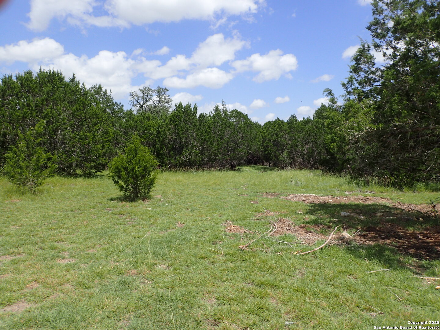 21 Tracie, Lakehills, TX, 78063 | 1878297 | Realty Texas LLC