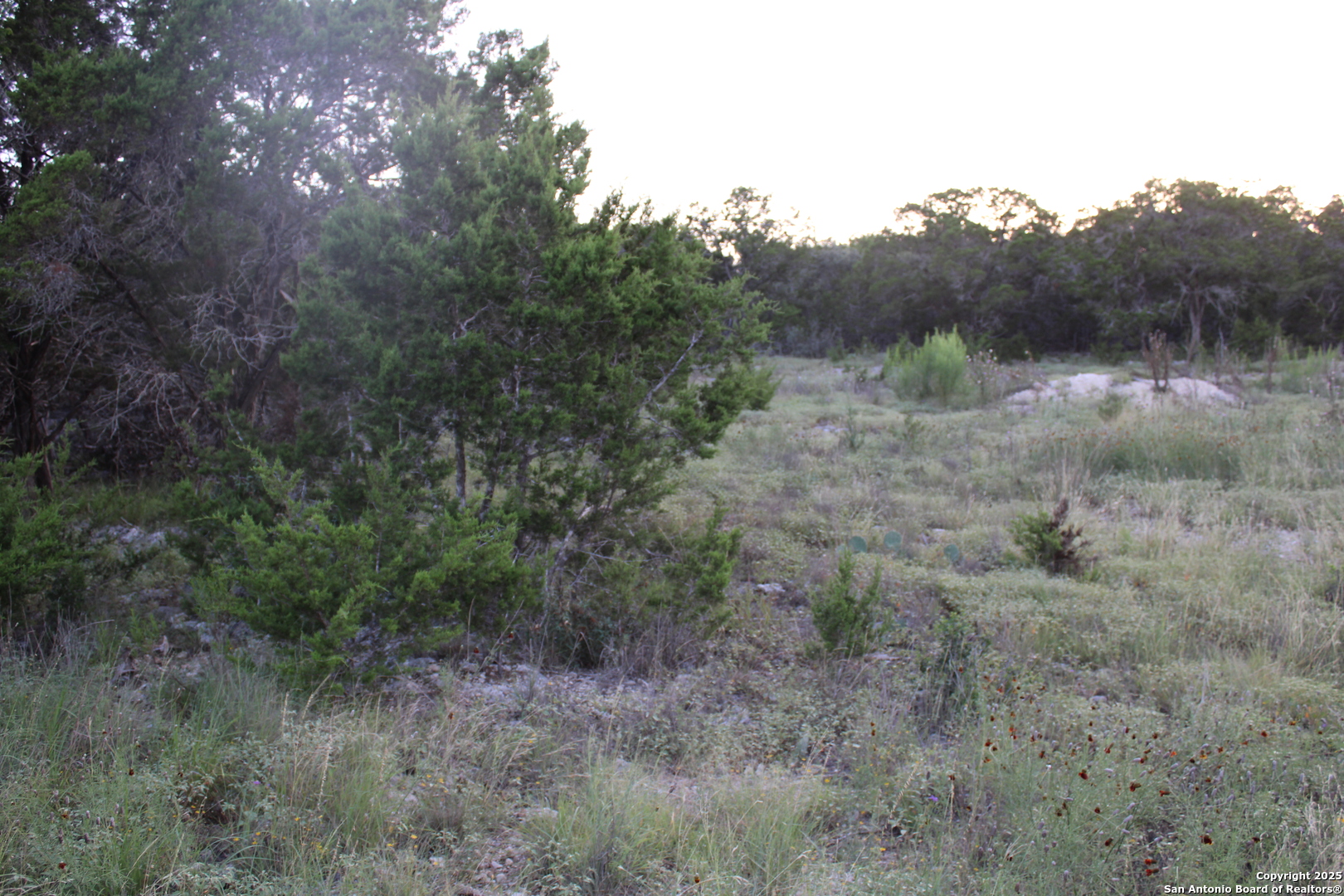 2025 Fuller Dr., Canyon Lake, TX, 78133 | 1878223 | Realty Texas LLC