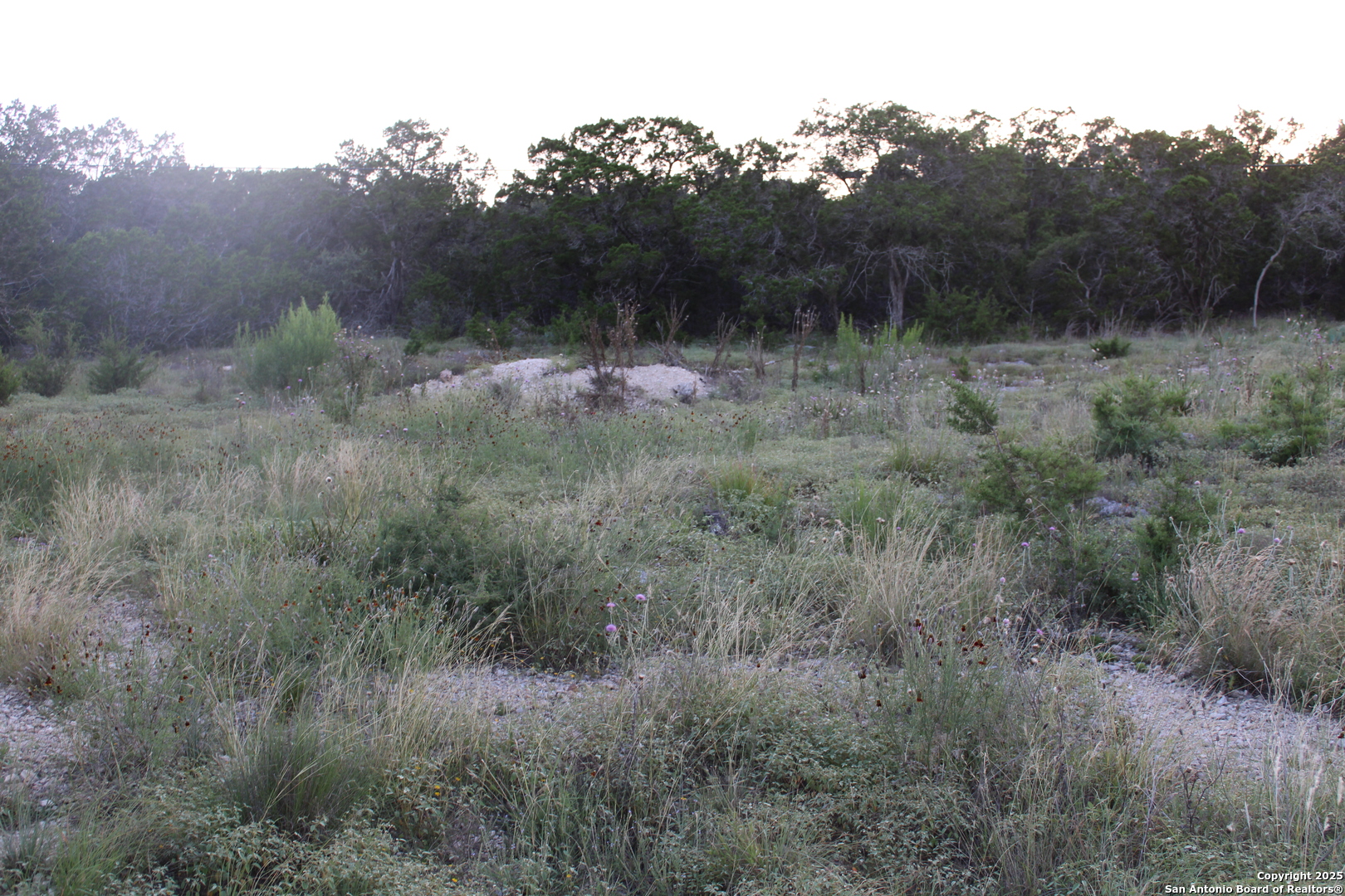 2025 Fuller Dr., Canyon Lake, TX, 78133 | 1878223 | Realty Texas LLC