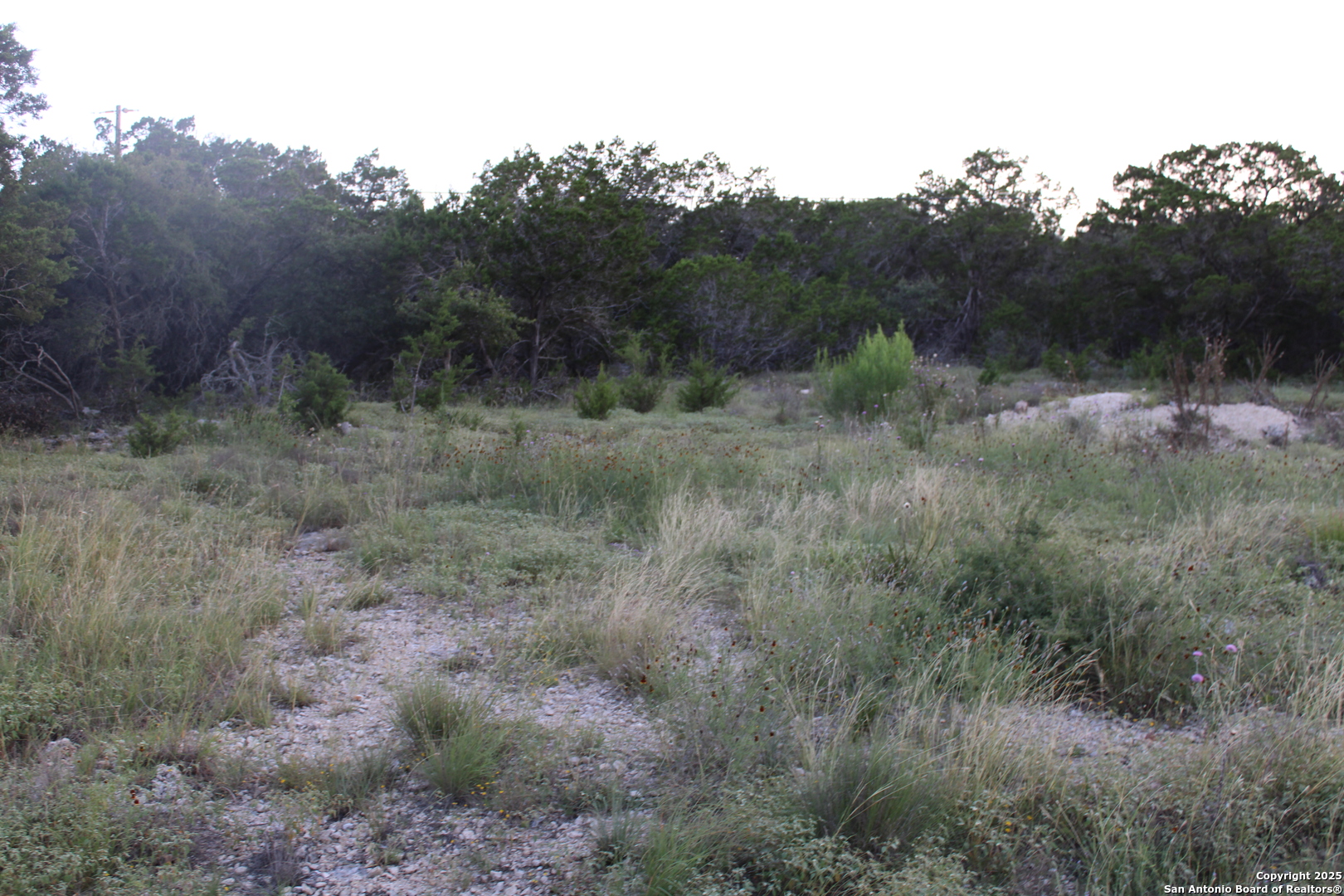 2025 Fuller Dr., Canyon Lake, TX, 78133 | 1878223 | Realty Texas LLC