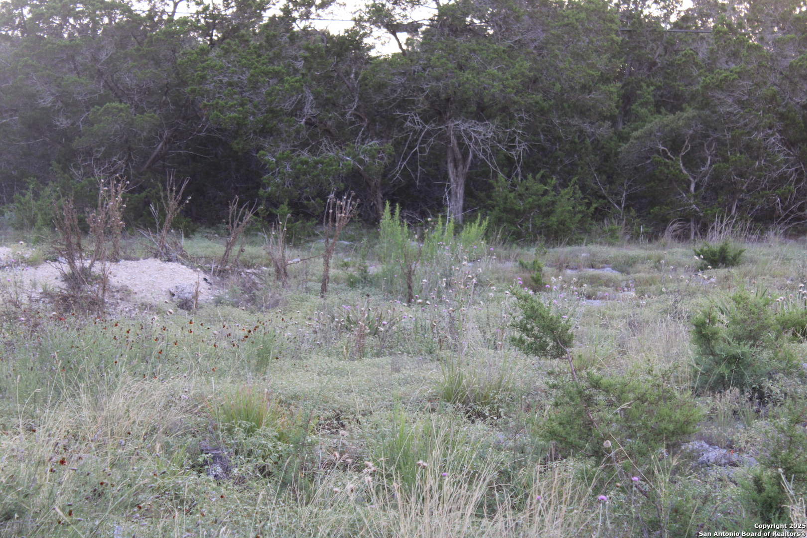 2025 Fuller Dr., Canyon Lake, TX, 78133 | 1878223 | Realty Texas LLC