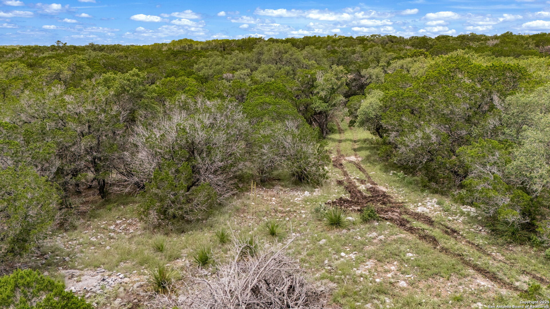4603 county road 251, Hondo, TX, 78861 | 1878900 | Realty Texas LLC