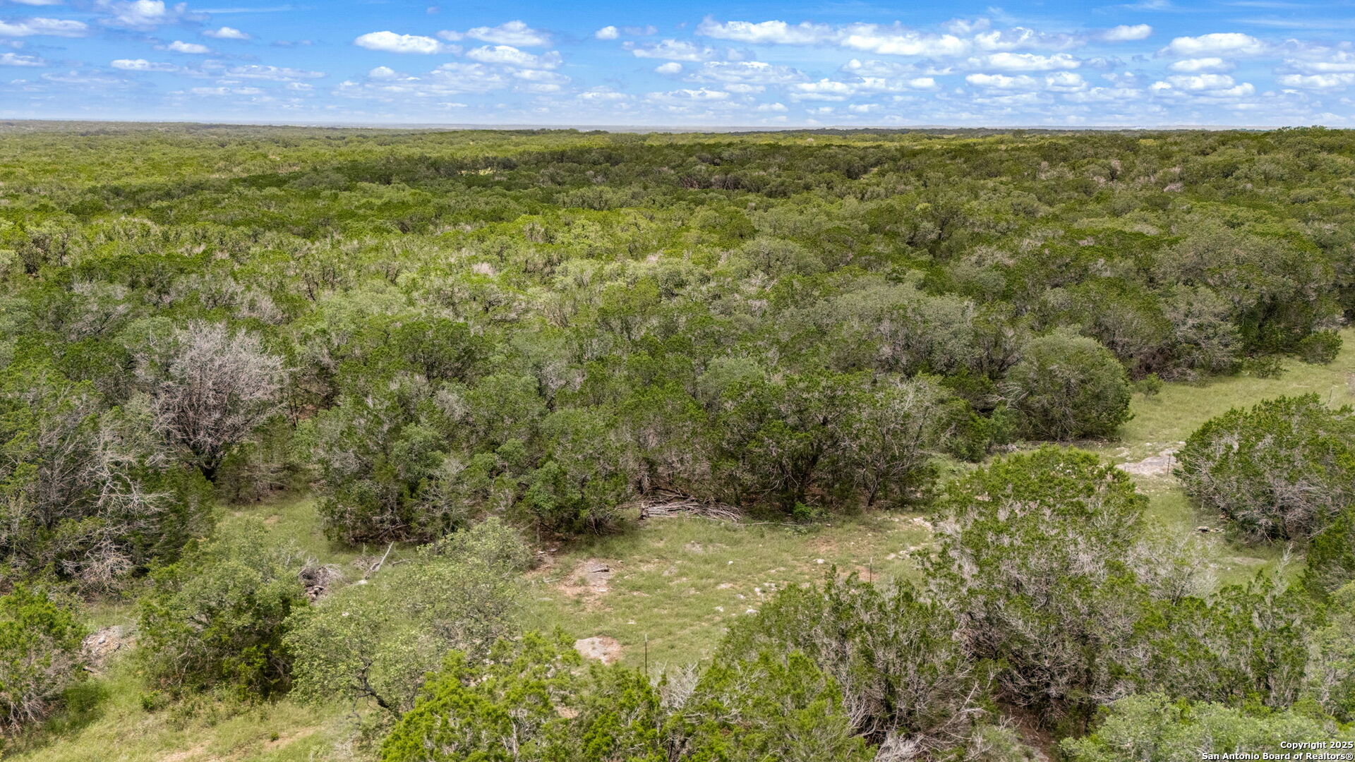 4603 county road 251, Hondo, TX, 78861 | 1878900 | Realty Texas LLC