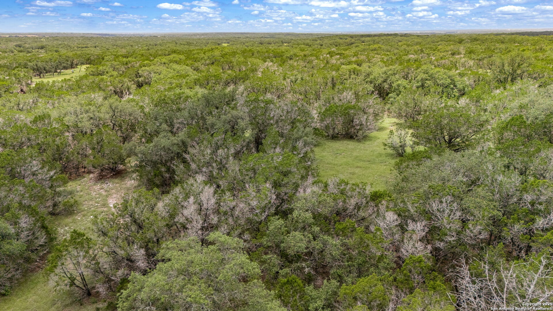 4603 county road 251, Hondo, TX, 78861 | 1878900 | Realty Texas LLC