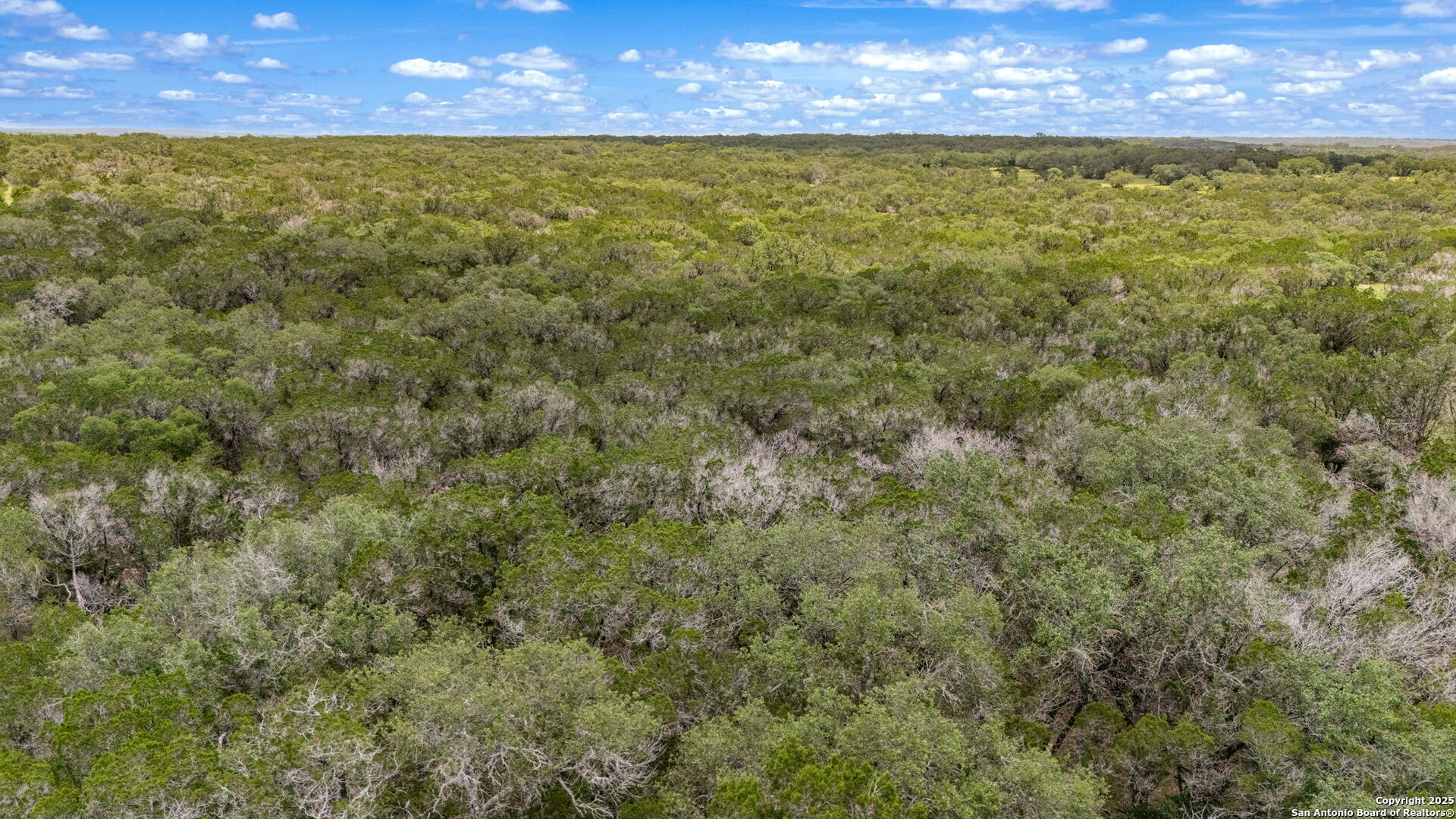 4603 county road 251, Hondo, TX, 78861 | 1878900 | Realty Texas LLC