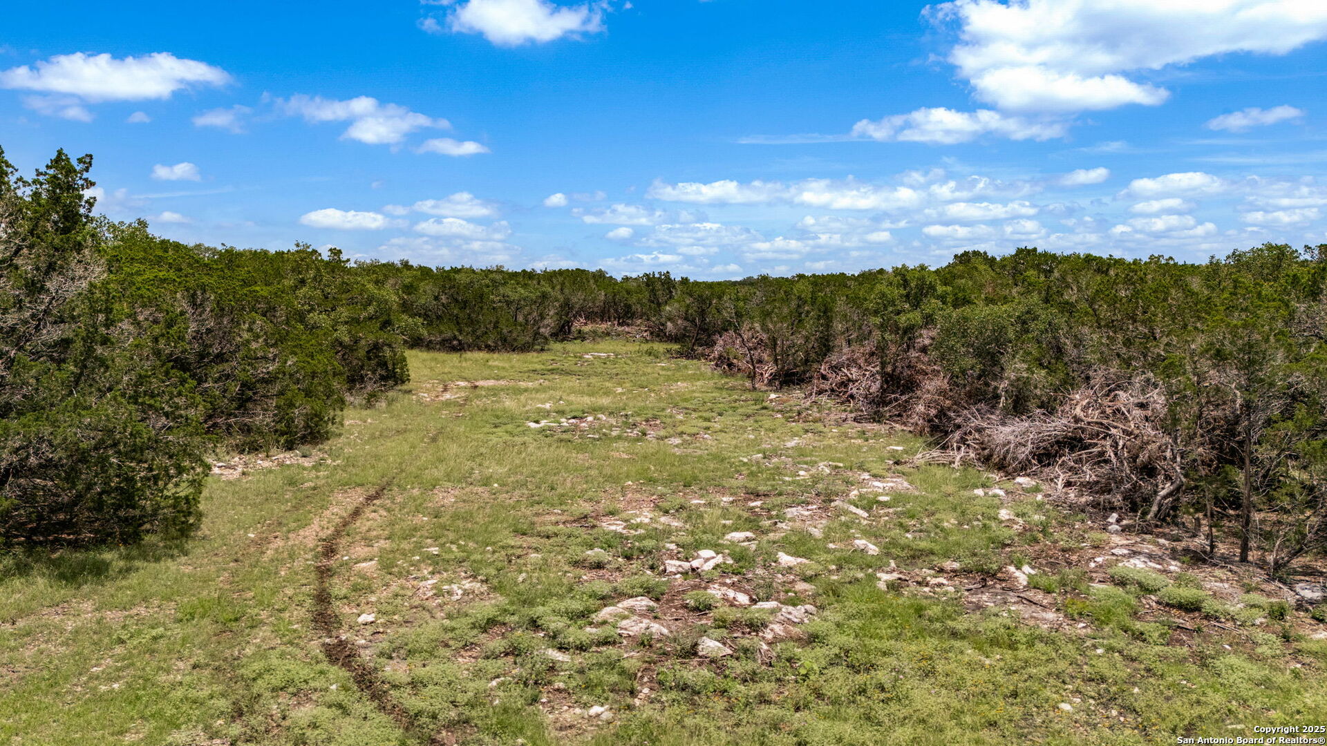 4603 county road 251, Hondo, TX, 78861 | 1878900 | Realty Texas LLC