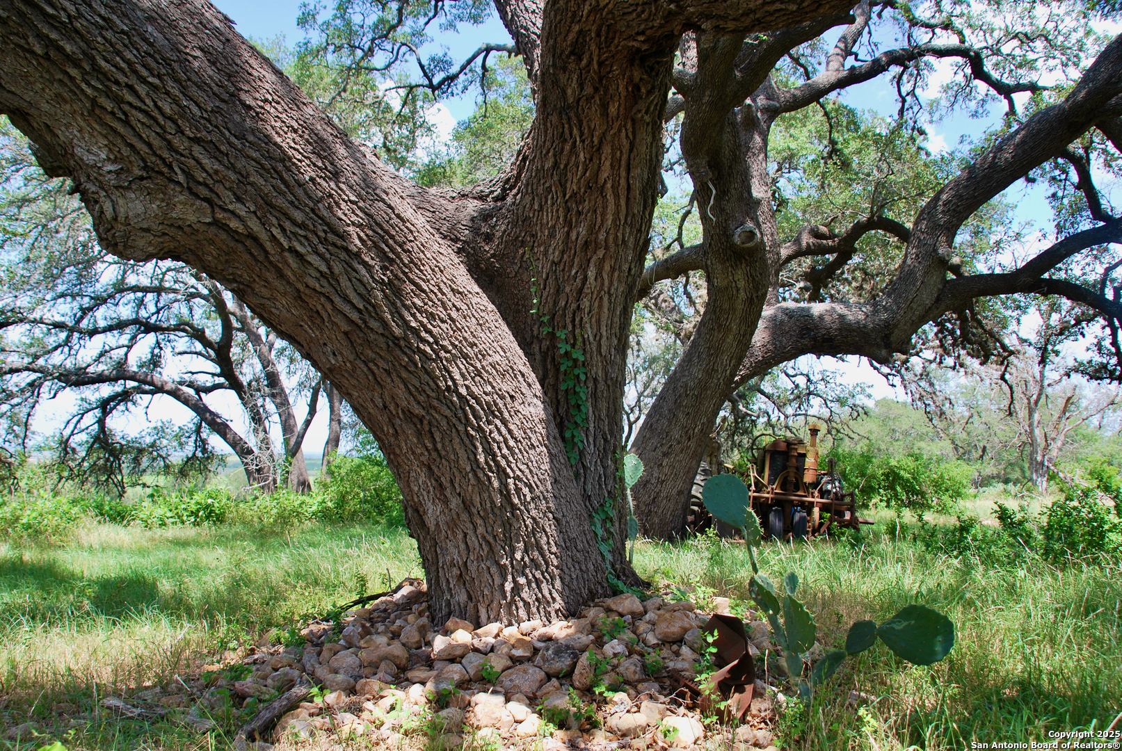2725 Old Lehmann, Seguin, TX, 78155 | 1882114 | Realty Texas LLC