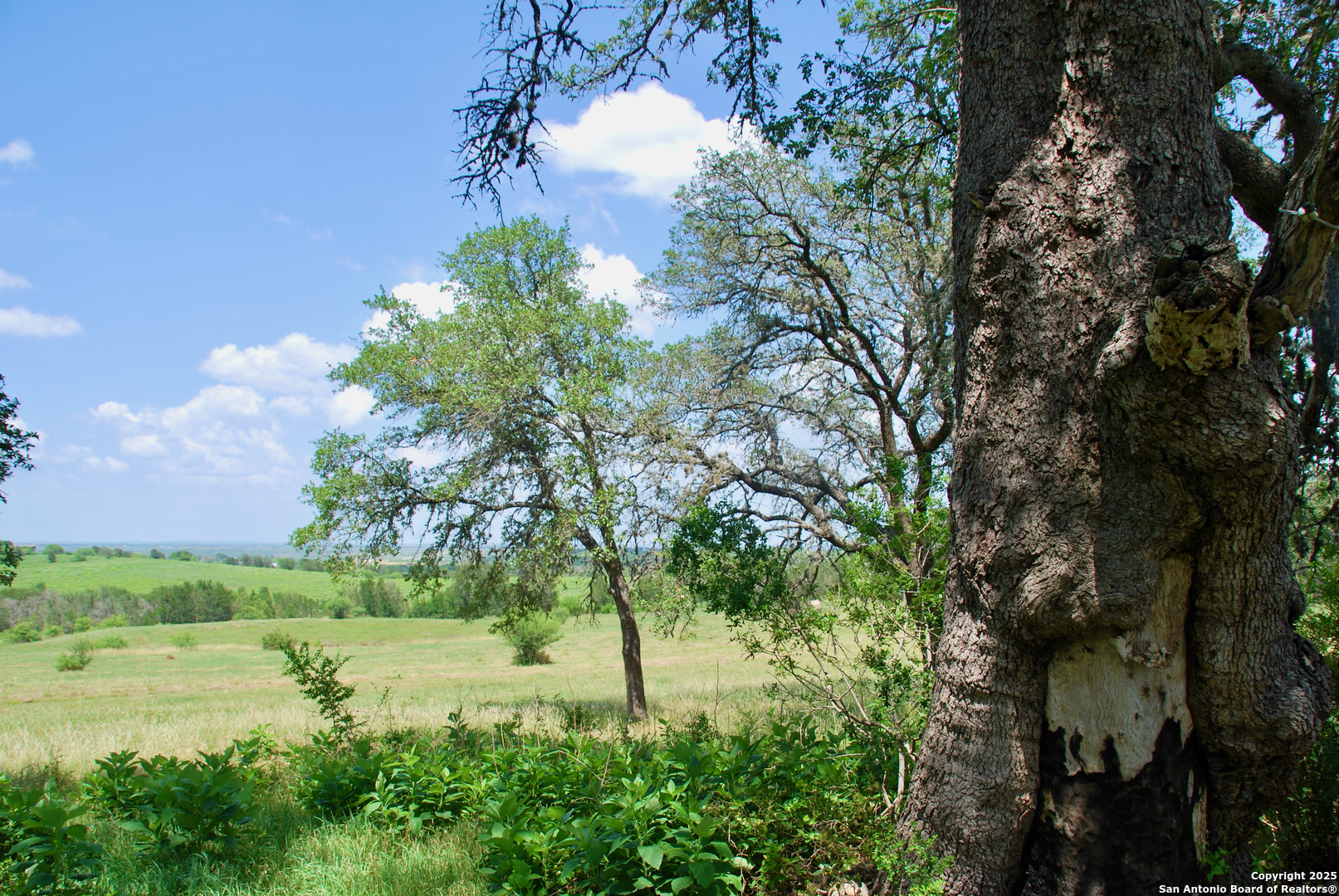 2725 Old Lehmann, Seguin, TX, 78155 | 1882114 | Realty Texas LLC