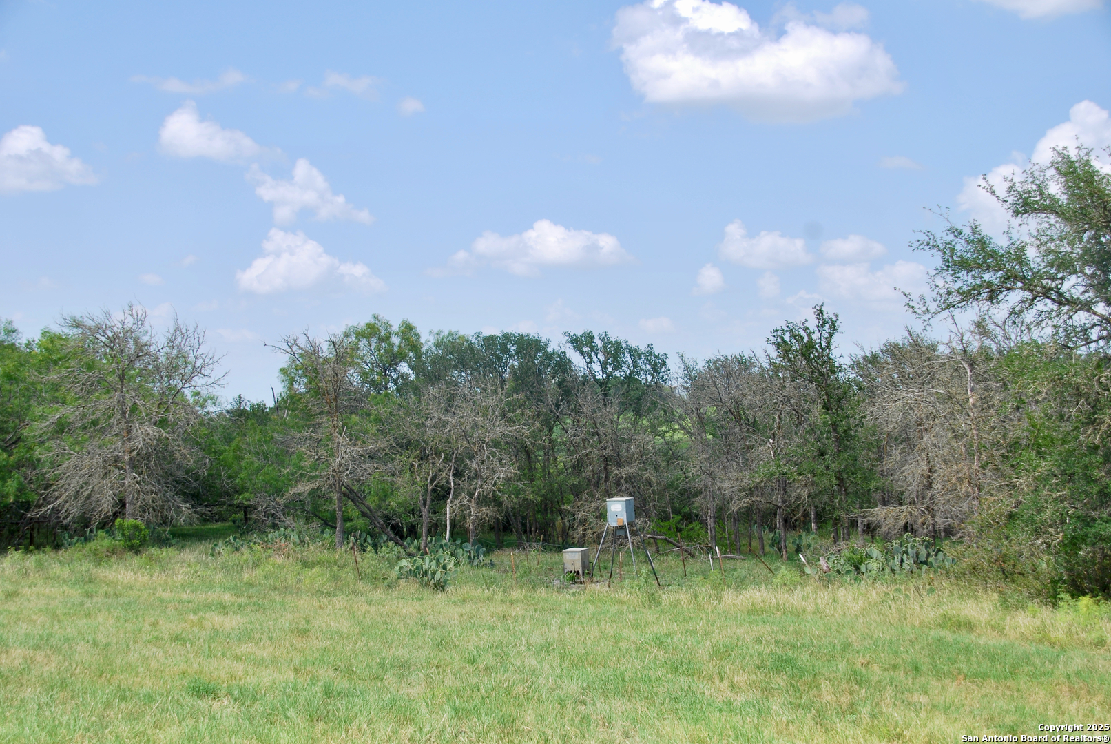 2725 Old Lehmann, Seguin, TX, 78155 | 1882114 | Realty Texas LLC