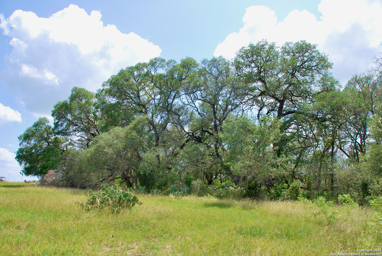 2725 Old Lehmann, Seguin, TX, 78155 | 1882114 | Realty Texas LLC