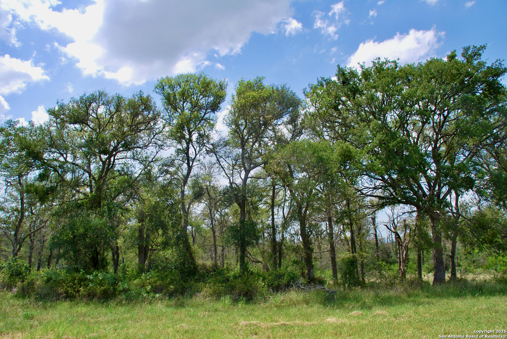 2725 Old Lehmann, Seguin, TX, 78155 | 1882114 | Realty Texas LLC