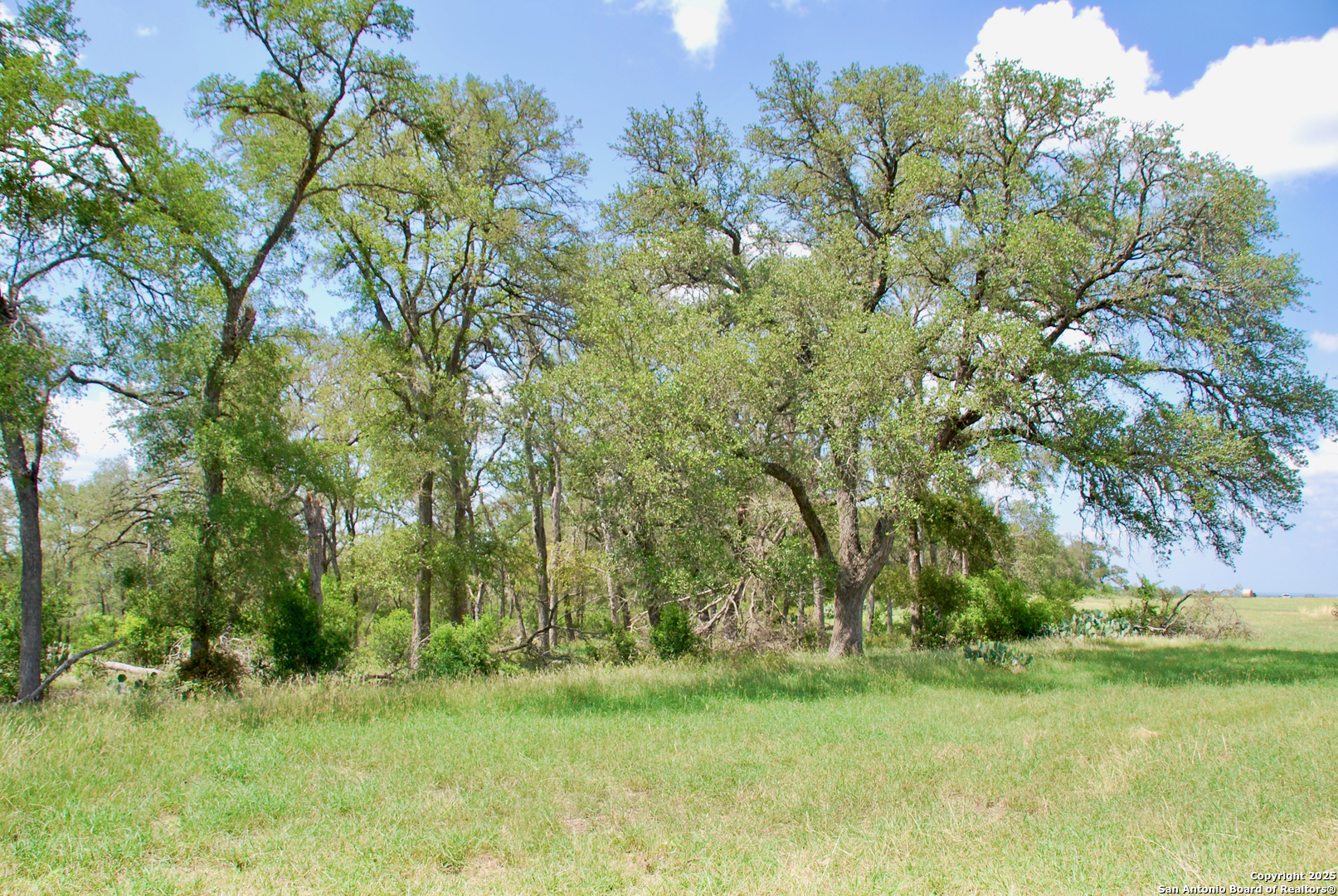 2725 Old Lehmann, Seguin, TX, 78155 | 1882114 | Realty Texas LLC
