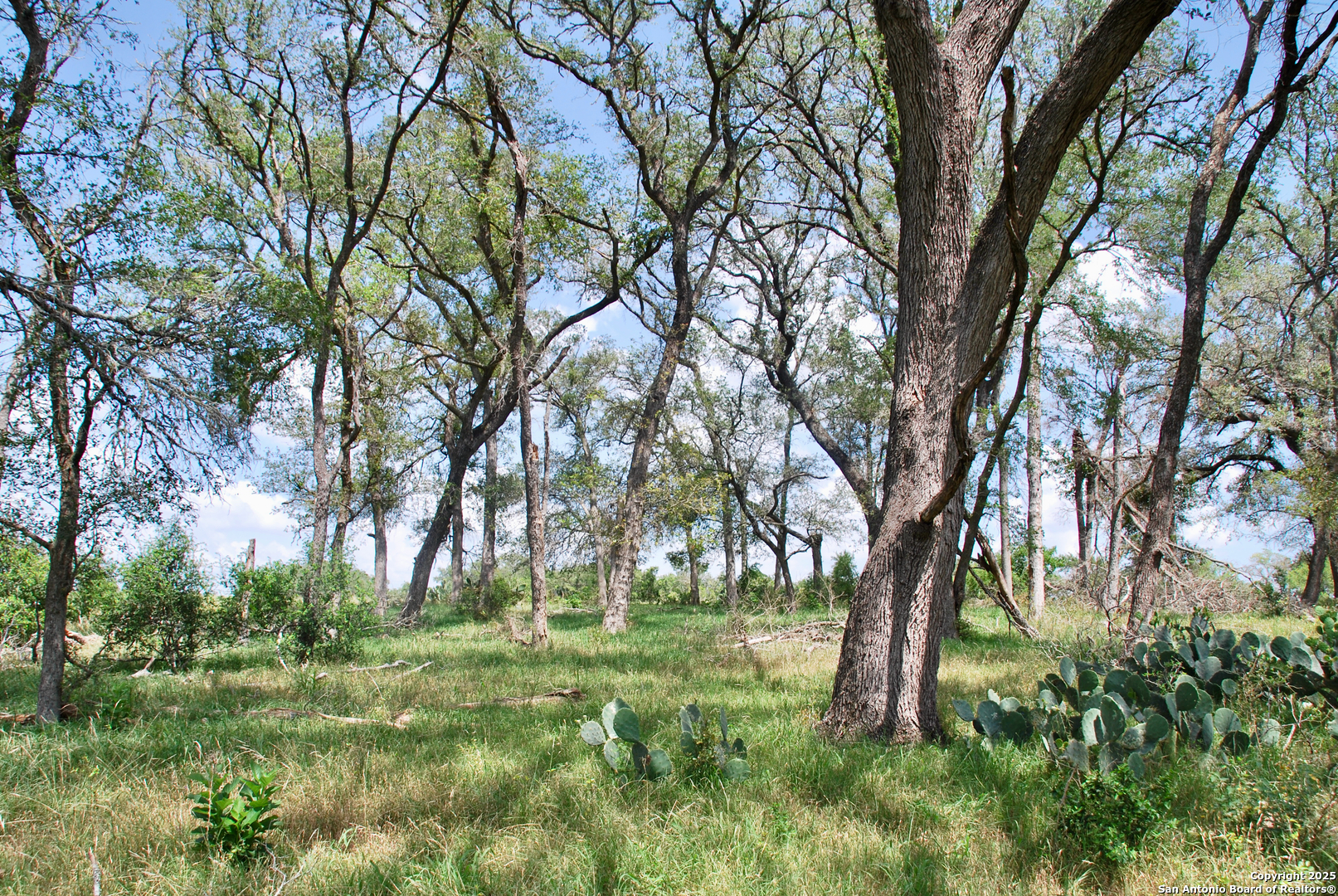 2725 Old Lehmann, Seguin, TX, 78155 | 1882114 | Realty Texas LLC