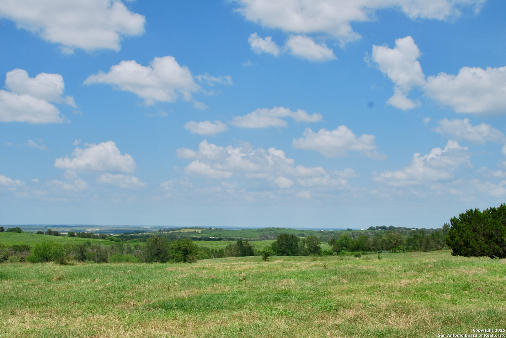 2725 Old Lehmann, Seguin, TX, 78155 | 1882114 | Realty Texas LLC