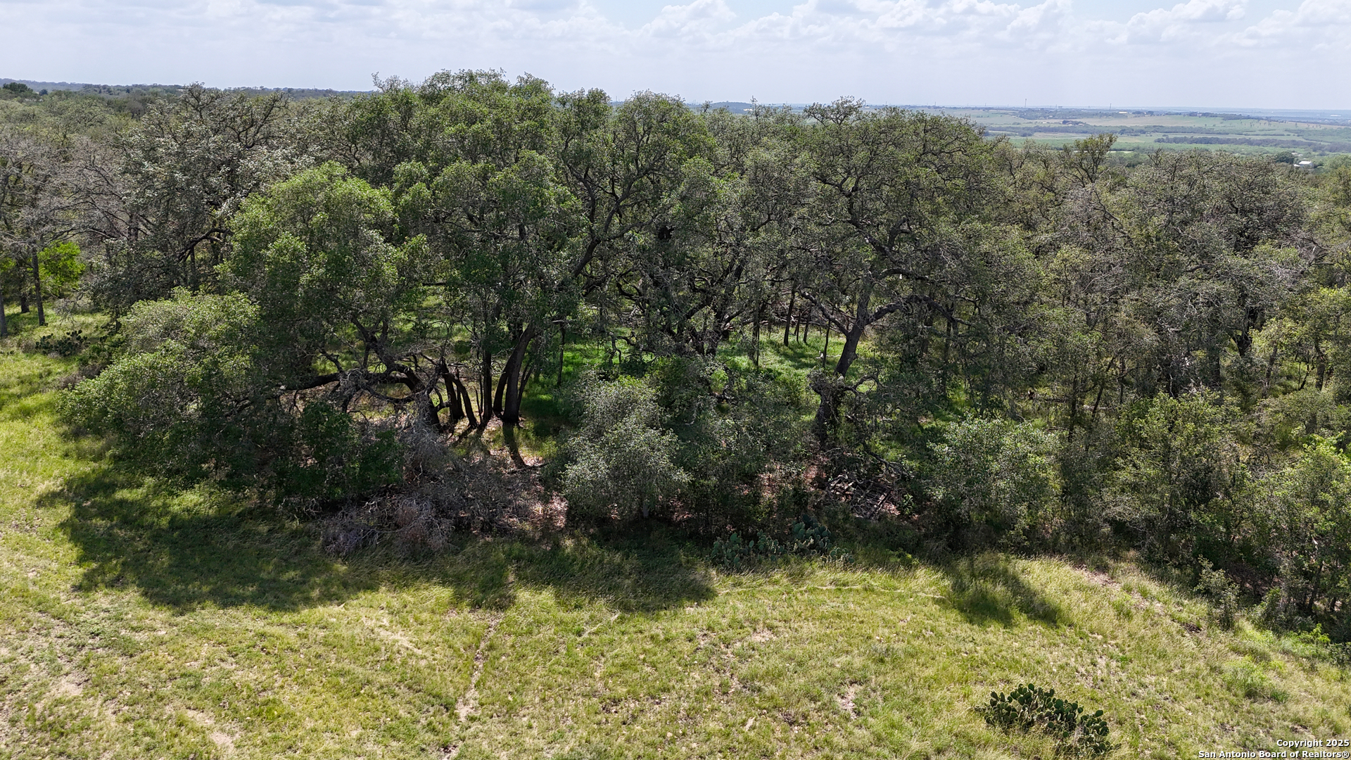 2725 Old Lehmann, Seguin, TX, 78155 | 1882114 | Realty Texas LLC