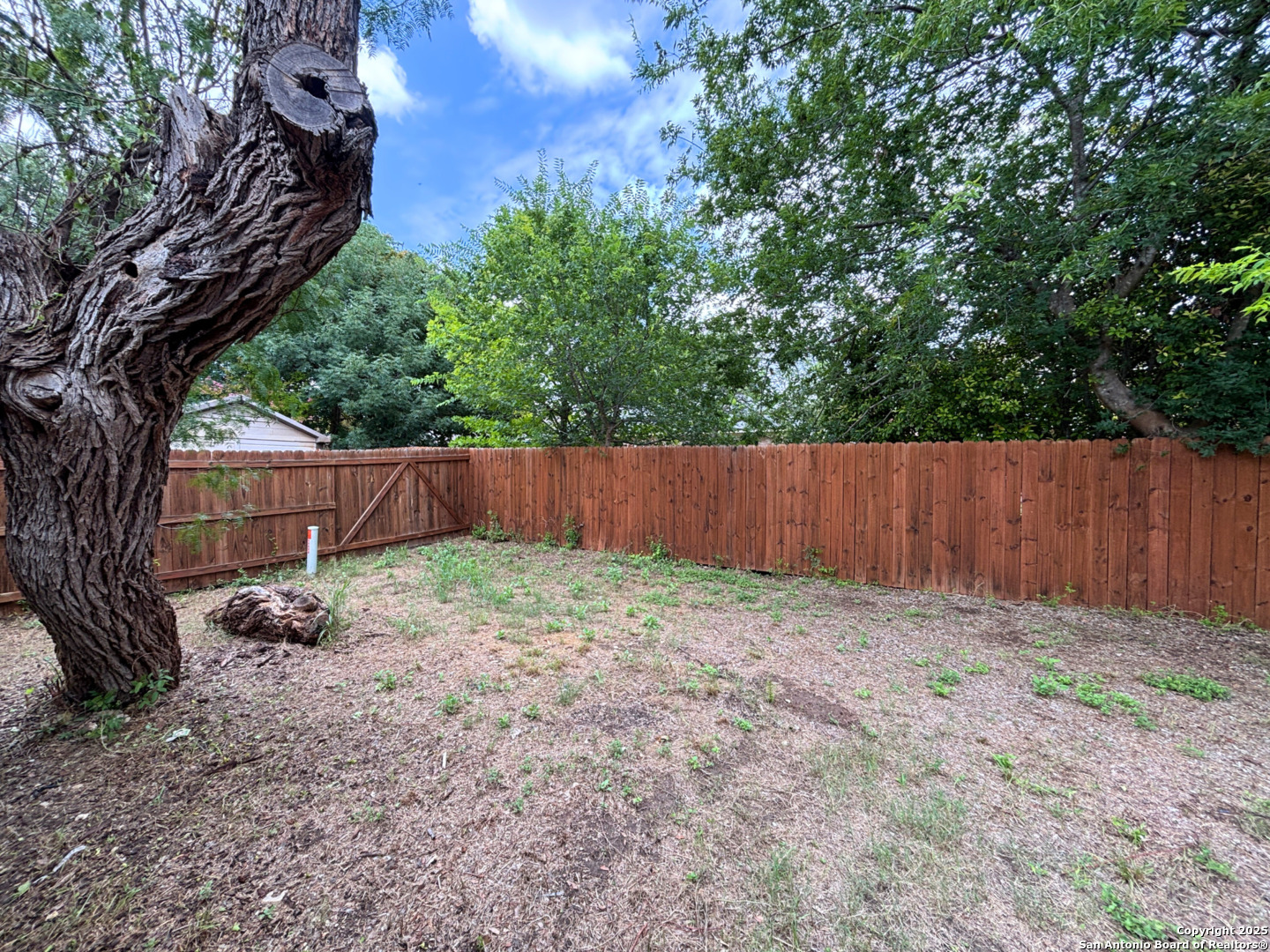 13218 Regency Forest, San Antonio, TX, 78249 | 1879246 | Realty Texas LLC