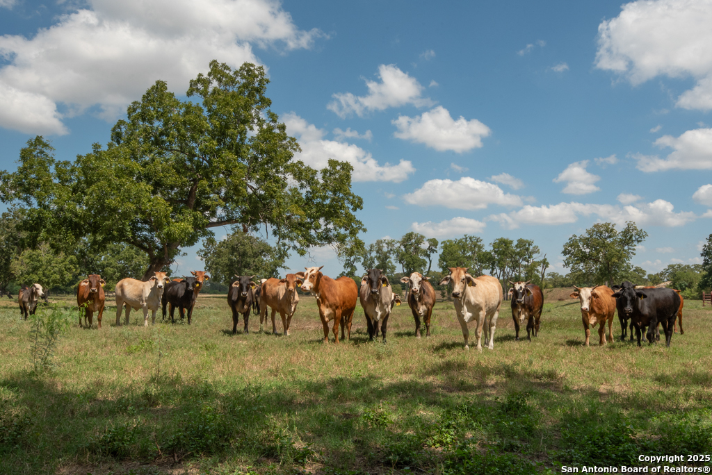 6887 Von Ormy, Von Ormy, TX, 78073 | 1911887 | Realty Texas LLC