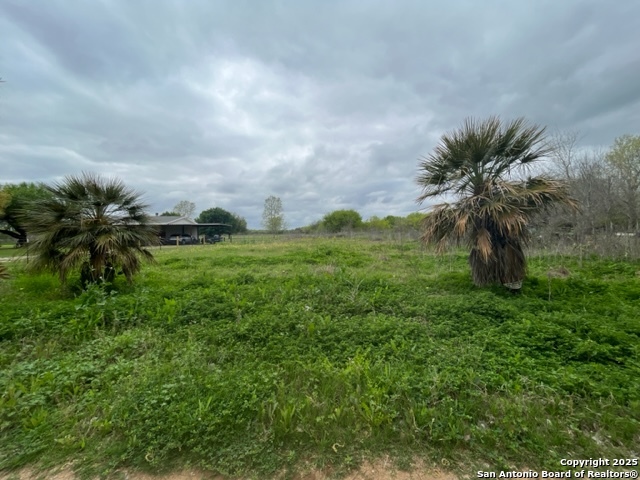TBD Pr 6736, Devine, TX, 78016 | 1920757 | Realty Texas LLC