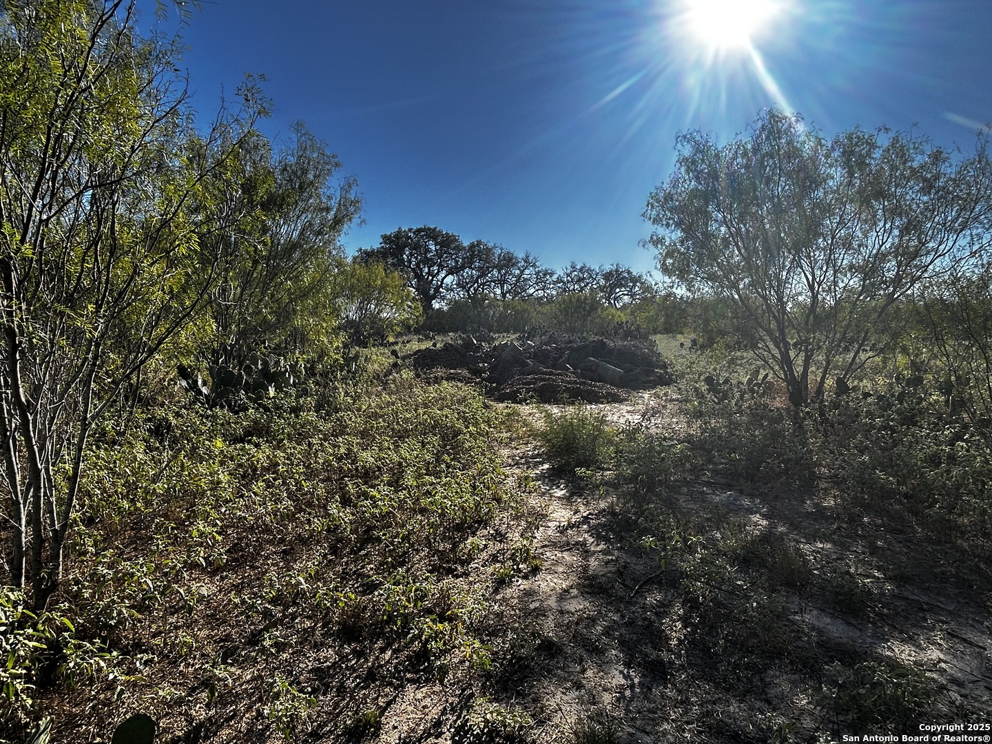 TBD County Road 777, Devine, TX, 78016 | 1920558 | Realty Texas LLC