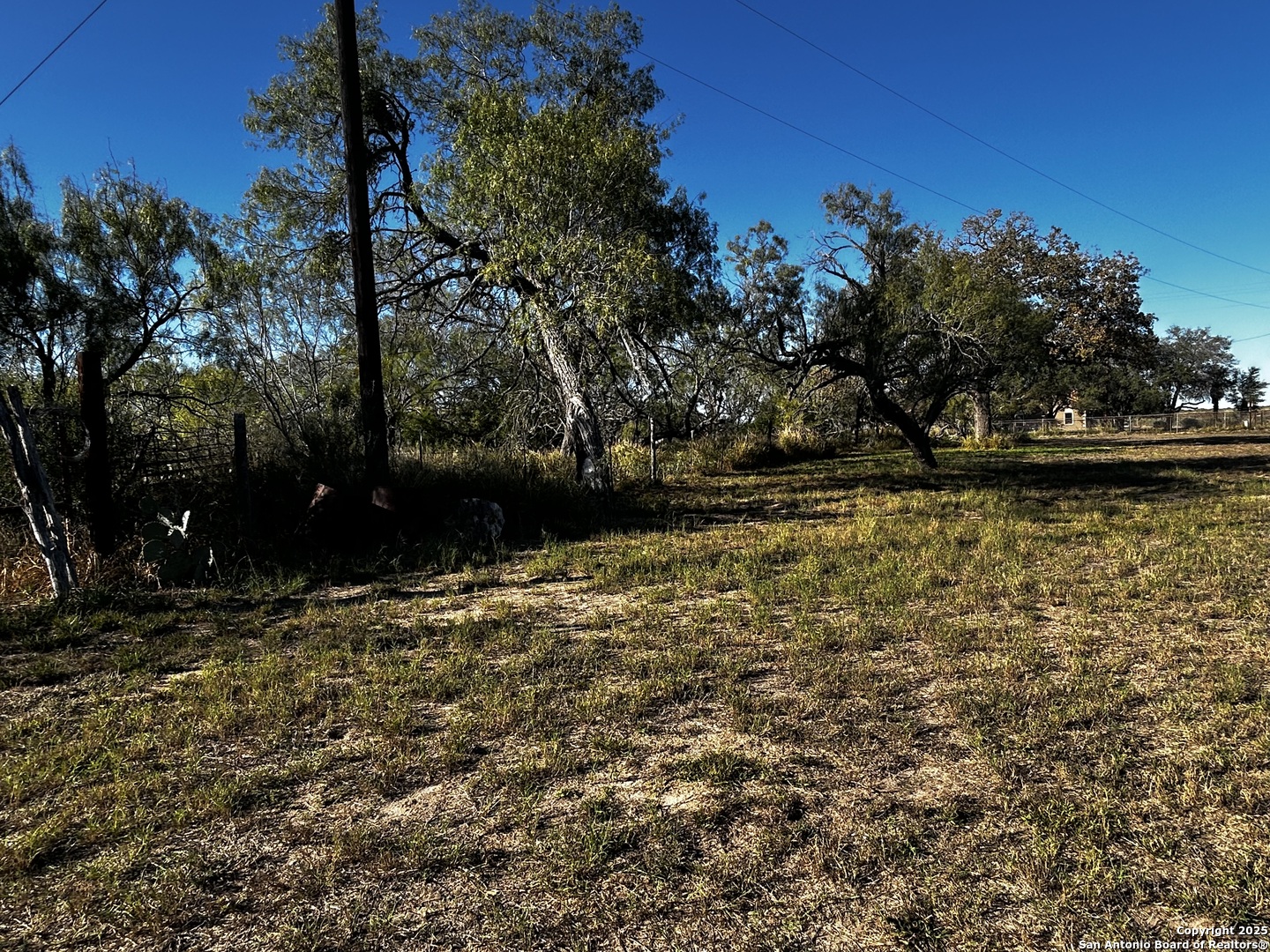 TBD County Road 777, Devine, TX, 78016 | 1920558 | Realty Texas LLC