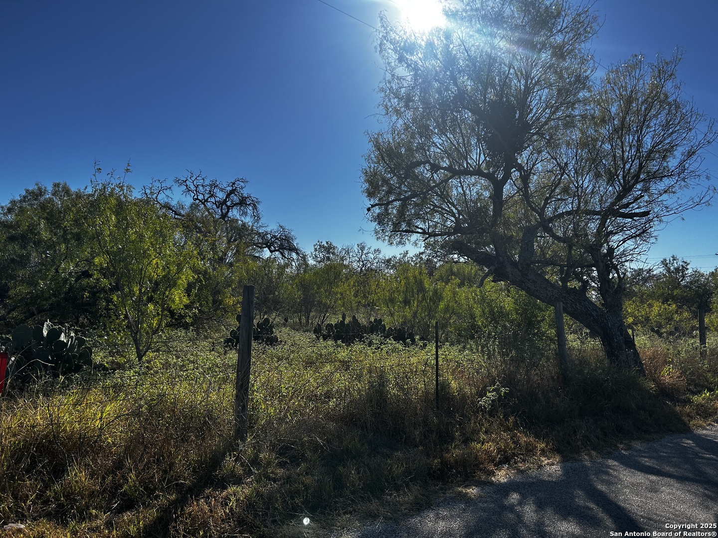 TBD County Road 777, Devine, TX, 78016 | 1920558 | Realty Texas LLC