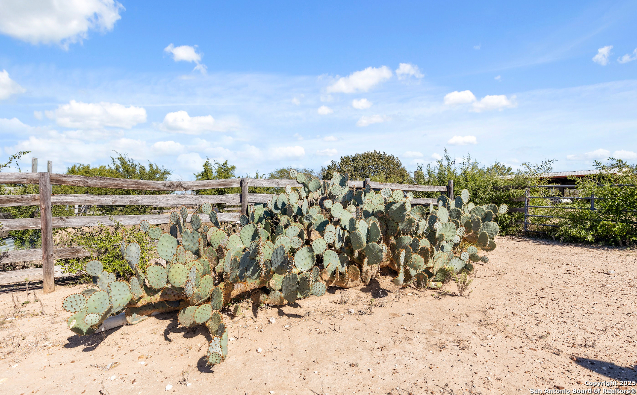 2198 CR 653, Devine, TX, 78016 | 1922049 | Realty Texas LLC