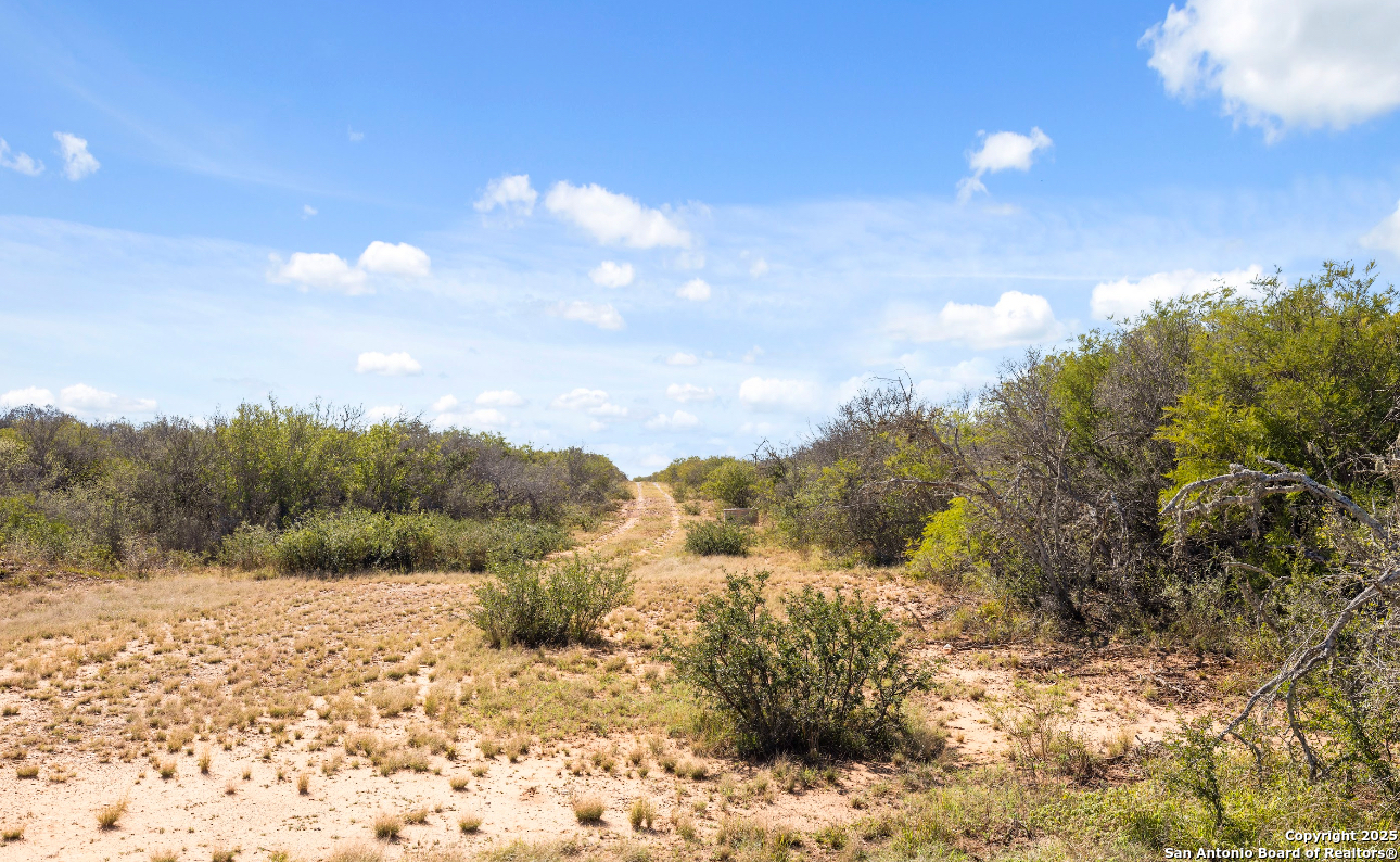 2198 CR 653, Devine, TX, 78016 | 1922049 | Realty Texas LLC