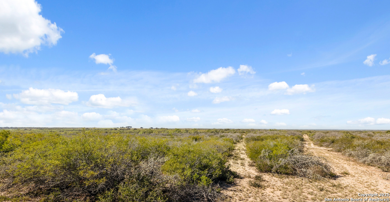 2198 CR 653, Devine, TX, 78016 | 1922049 | Realty Texas LLC