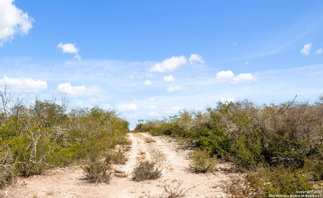 2198 CR 653, Devine, TX, 78016 | 1922049 | Realty Texas LLC