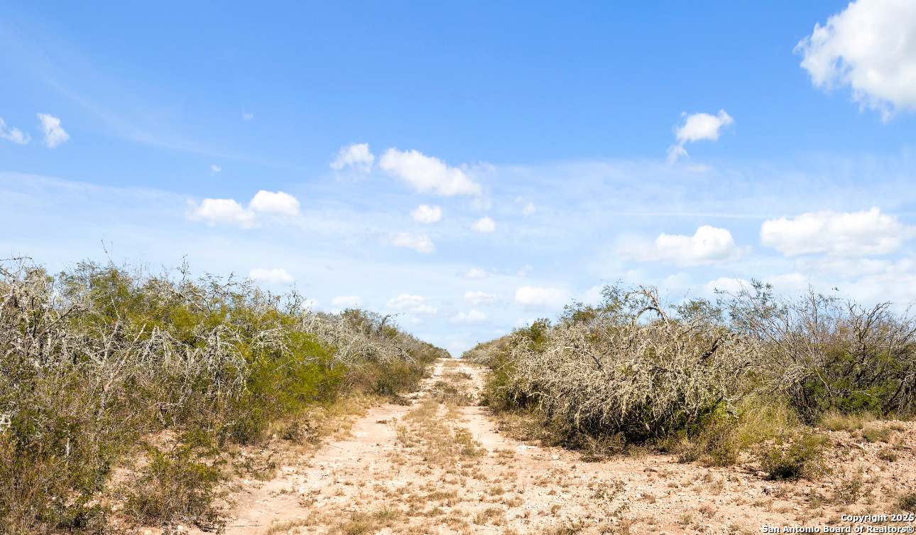 2198 CR 653, Devine, TX, 78016 | 1922049 | Realty Texas LLC