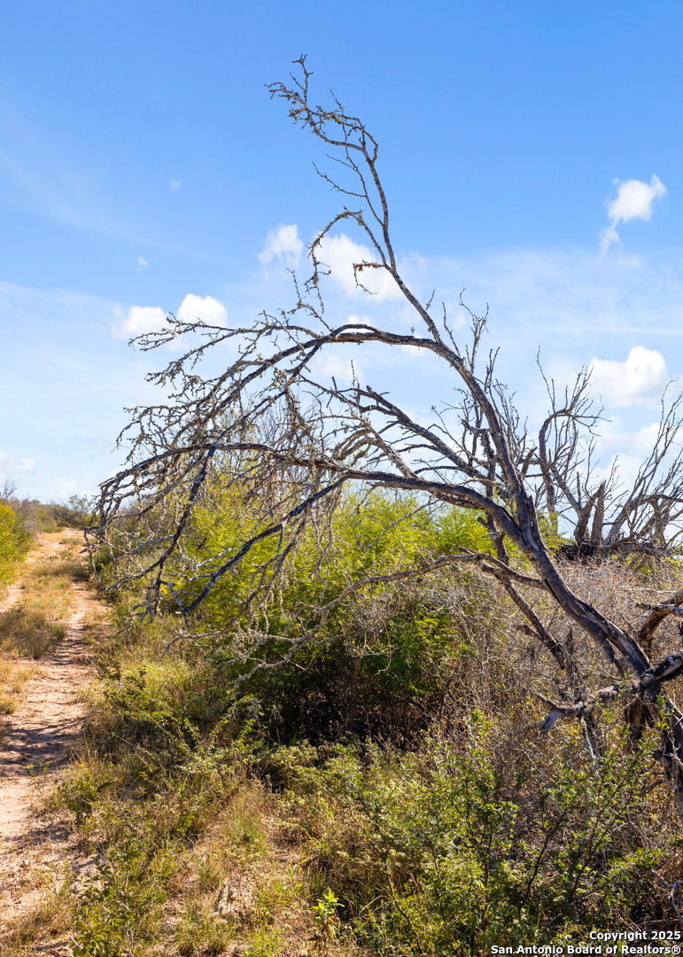 2198 CR 653, Devine, TX, 78016 | 1922049 | Realty Texas LLC