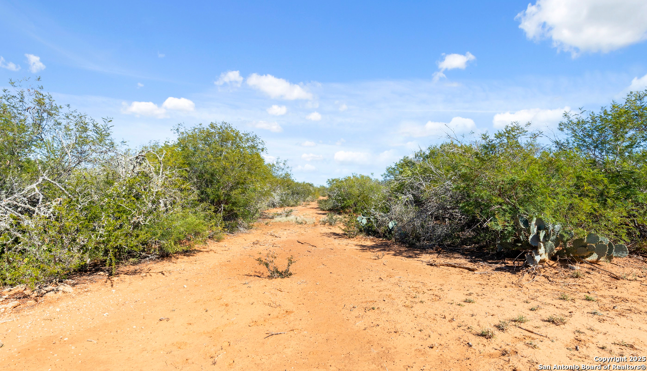 2198 CR 653, Devine, TX, 78016 | 1922049 | Realty Texas LLC