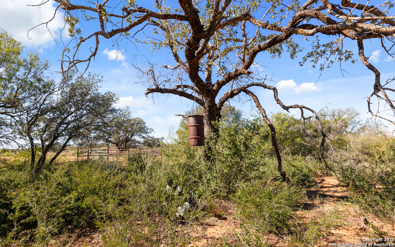 2198 CR 653, Devine, TX, 78016 | 1922049 | Realty Texas LLC