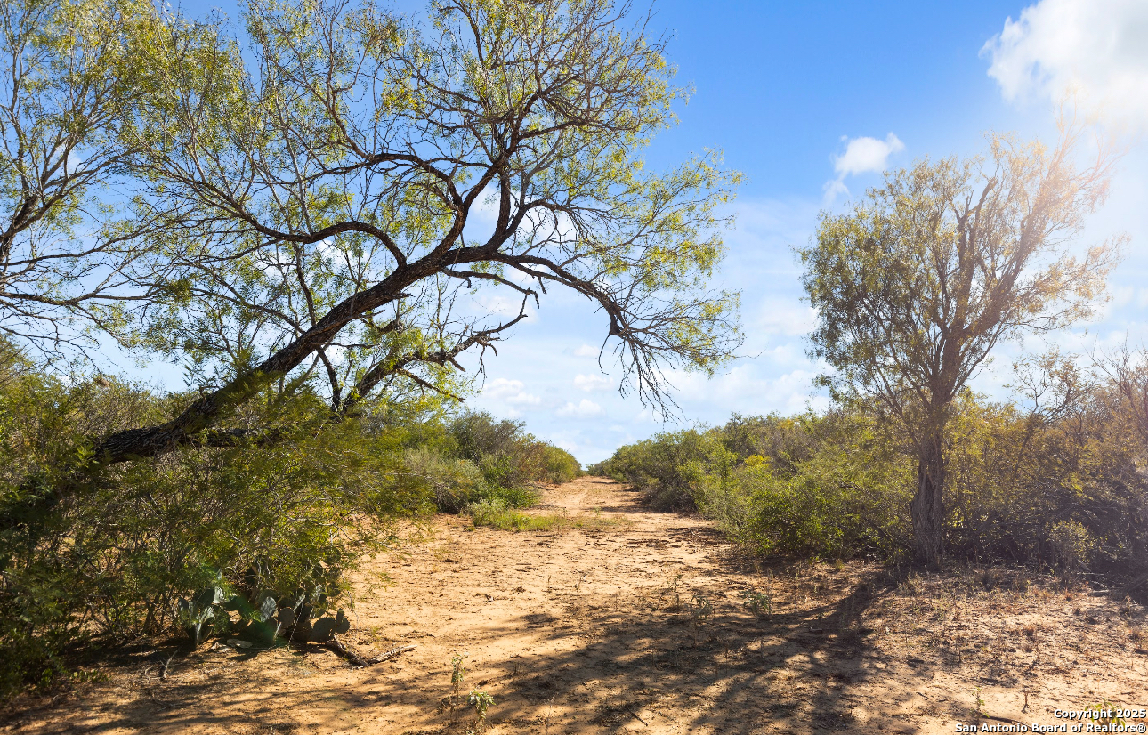 2198 CR 653, Devine, TX, 78016 | 1922049 | Realty Texas LLC