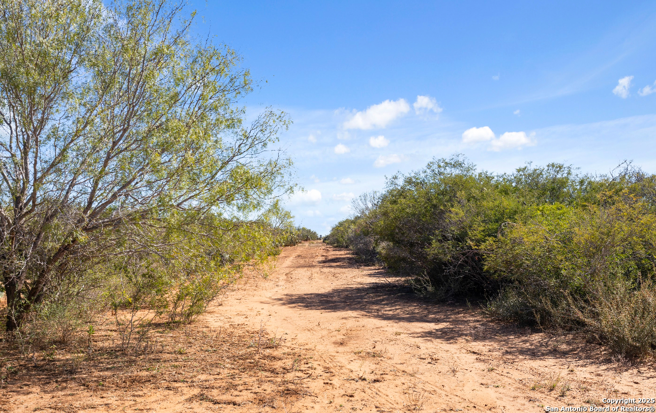 2198 CR 653, Devine, TX, 78016 | 1922049 | Realty Texas LLC
