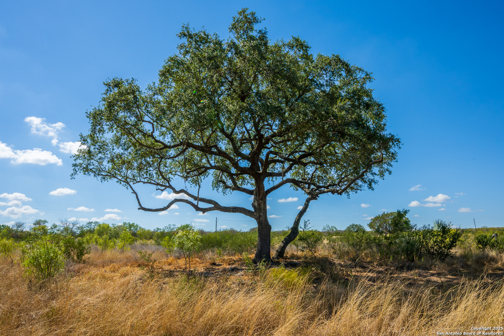 CR 652 Cr 652, Devine, TX, 78016 | 1922412 | Realty Texas LLC