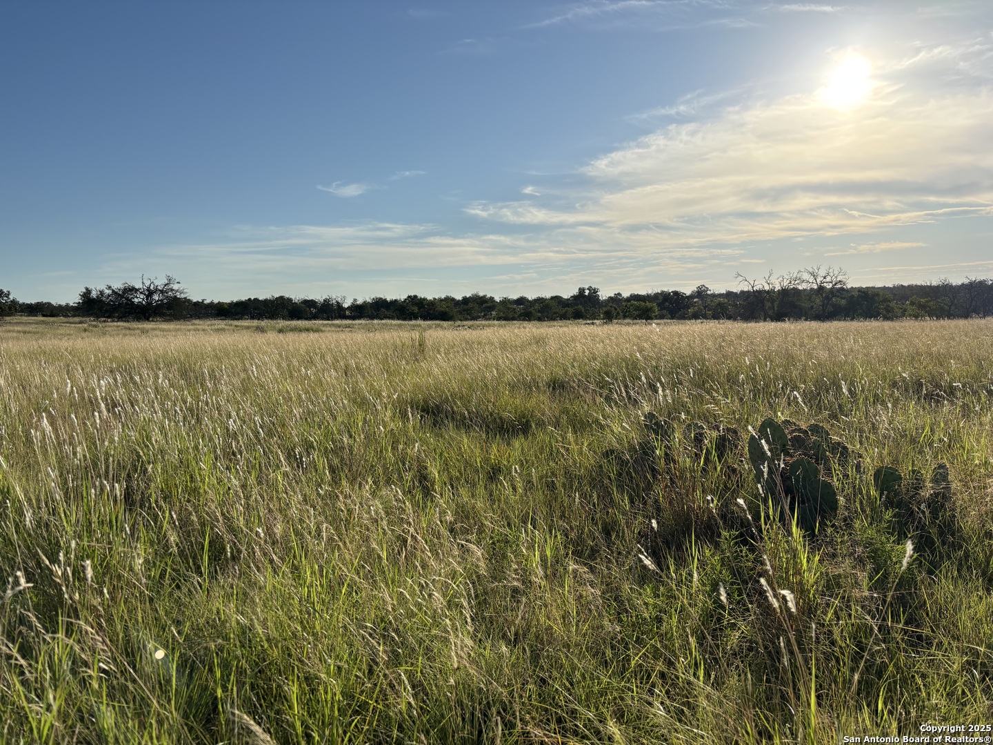 183 Lipan Loop, HARPER, TX, 78631 | 1922355 | Realty Texas LLC