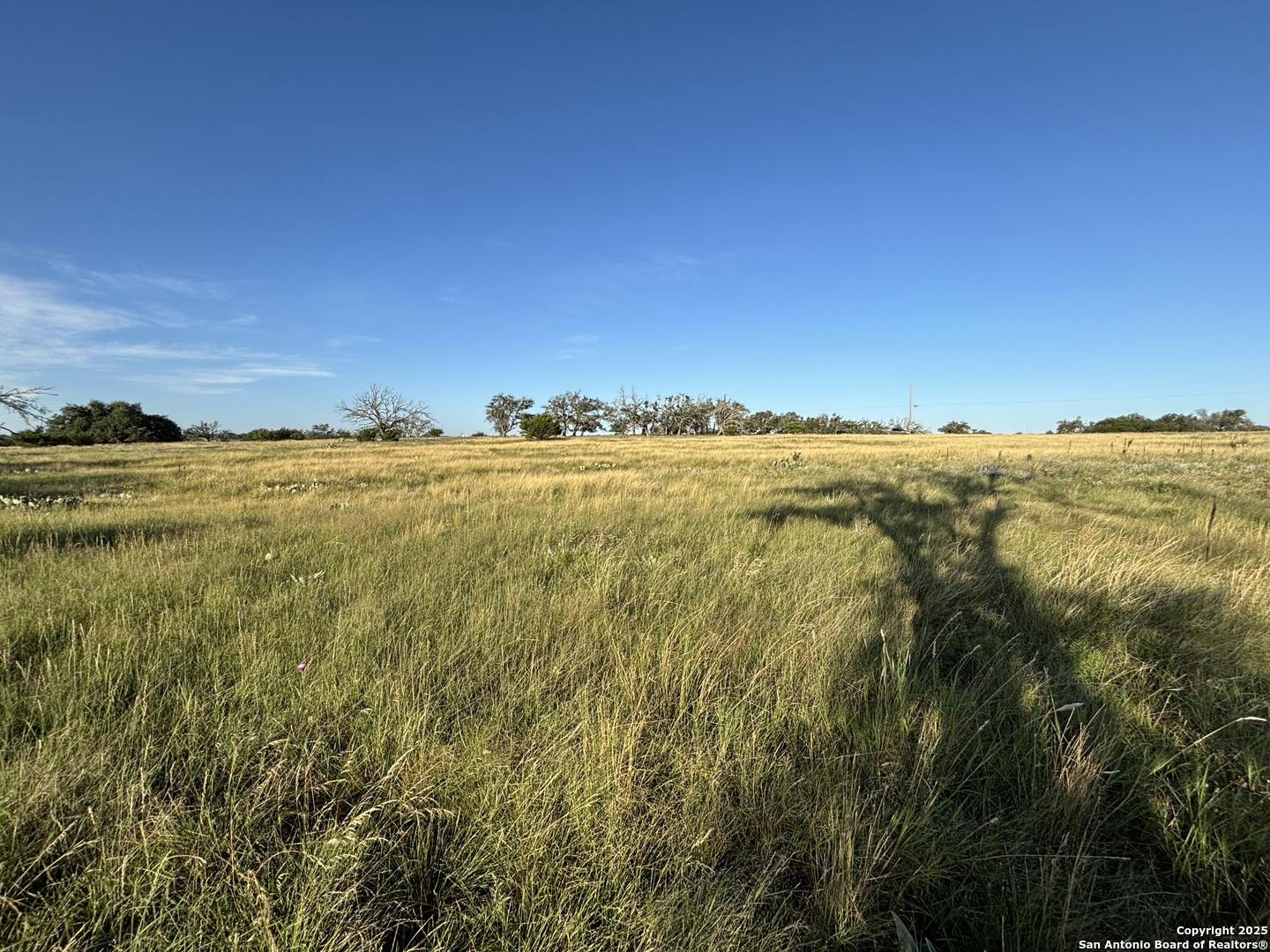 183 Lipan Loop, HARPER, TX, 78631 | 1922355 | Realty Texas LLC