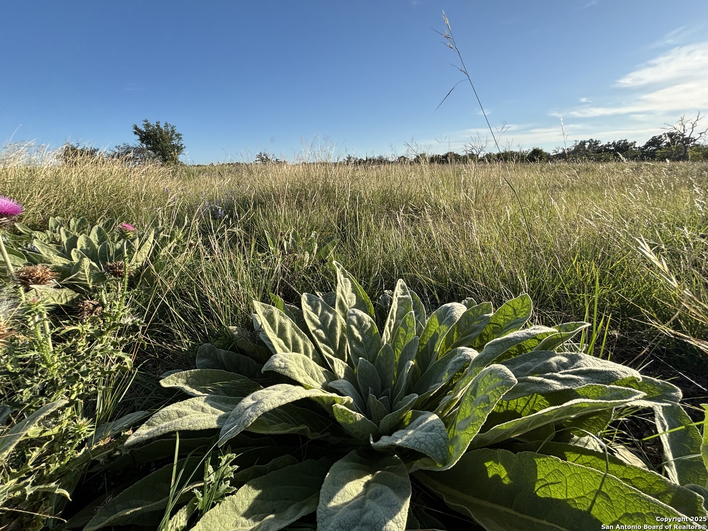 183 Lipan Loop, HARPER, TX, 78631 | 1922355 | Realty Texas LLC