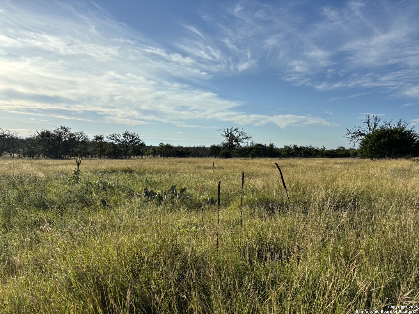 183 Lipan Loop, HARPER, TX, 78631 | 1922355 | Realty Texas LLC