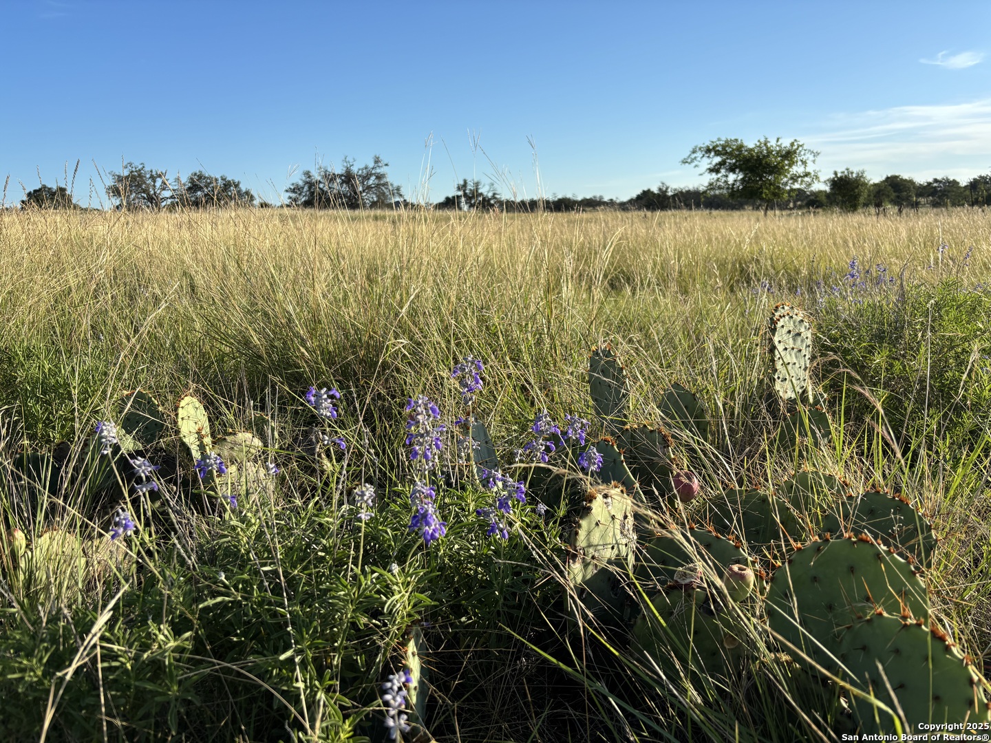 183 Lipan Loop, HARPER, TX, 78631 | 1922355 | Realty Texas LLC