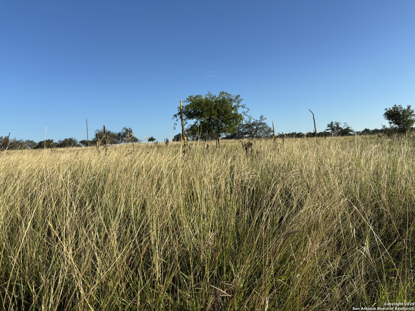 183 Lipan Loop, HARPER, TX, 78631 | 1922355 | Realty Texas LLC