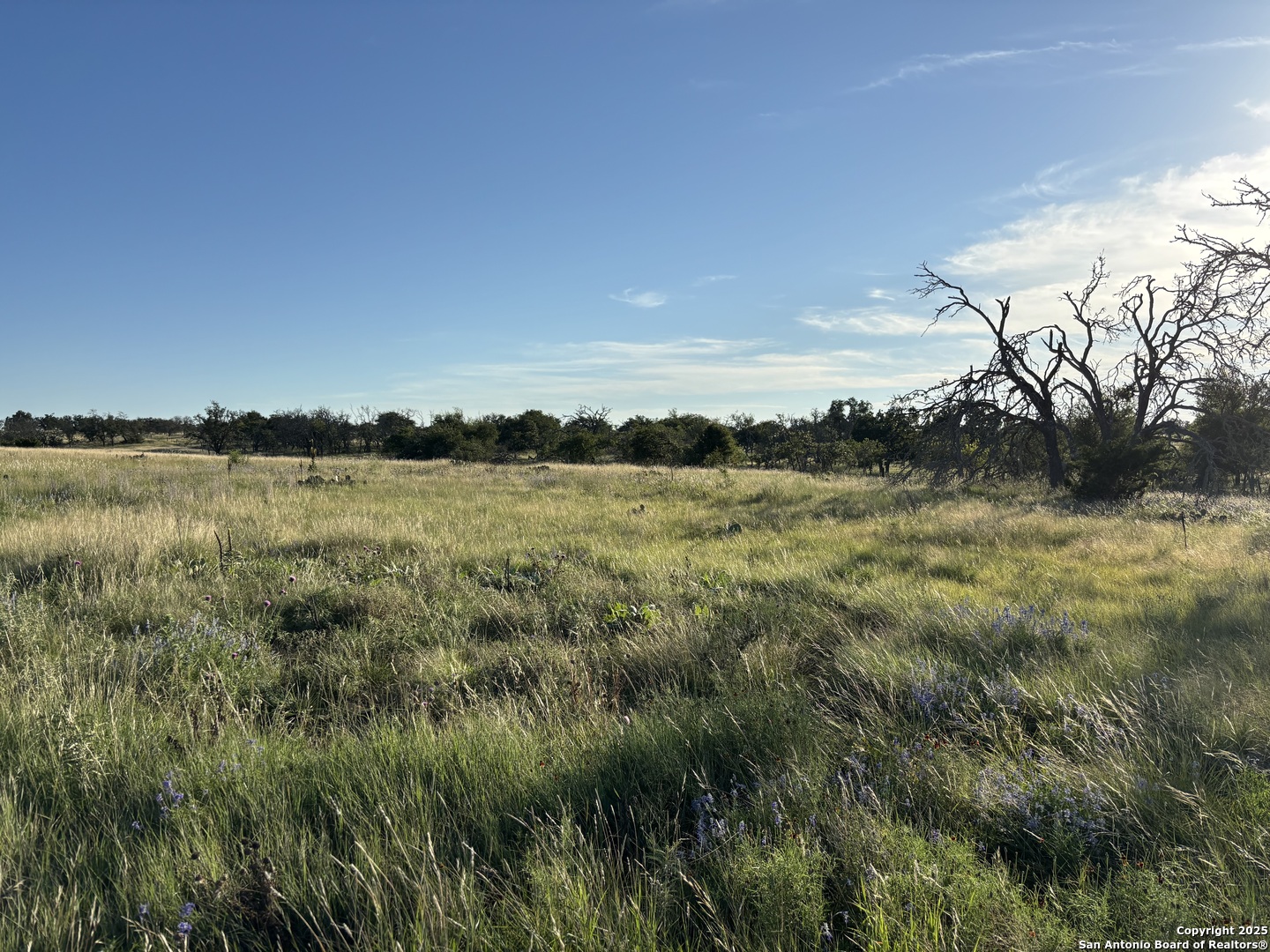 183 Lipan Loop, HARPER, TX, 78631 | 1922355 | Realty Texas LLC