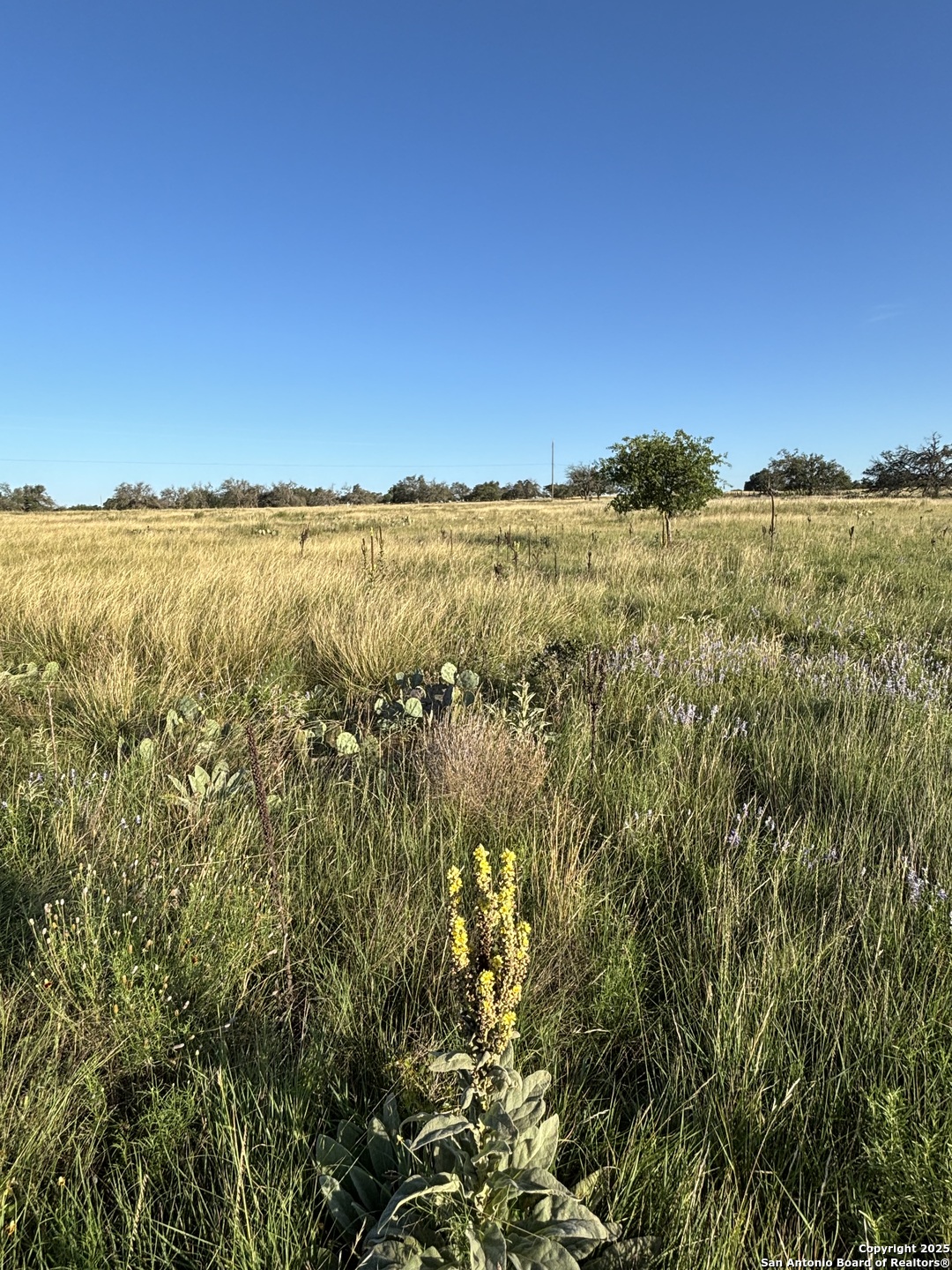 183 Lipan Loop, HARPER, TX, 78631 | 1922355 | Realty Texas LLC