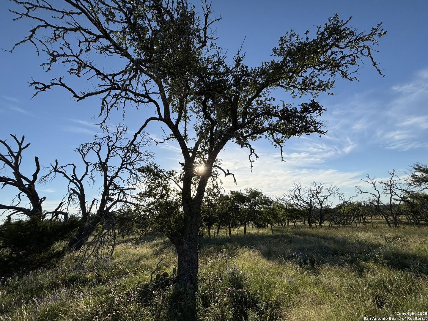 183 Lipan Loop, HARPER, TX, 78631 | 1922355 | Realty Texas LLC