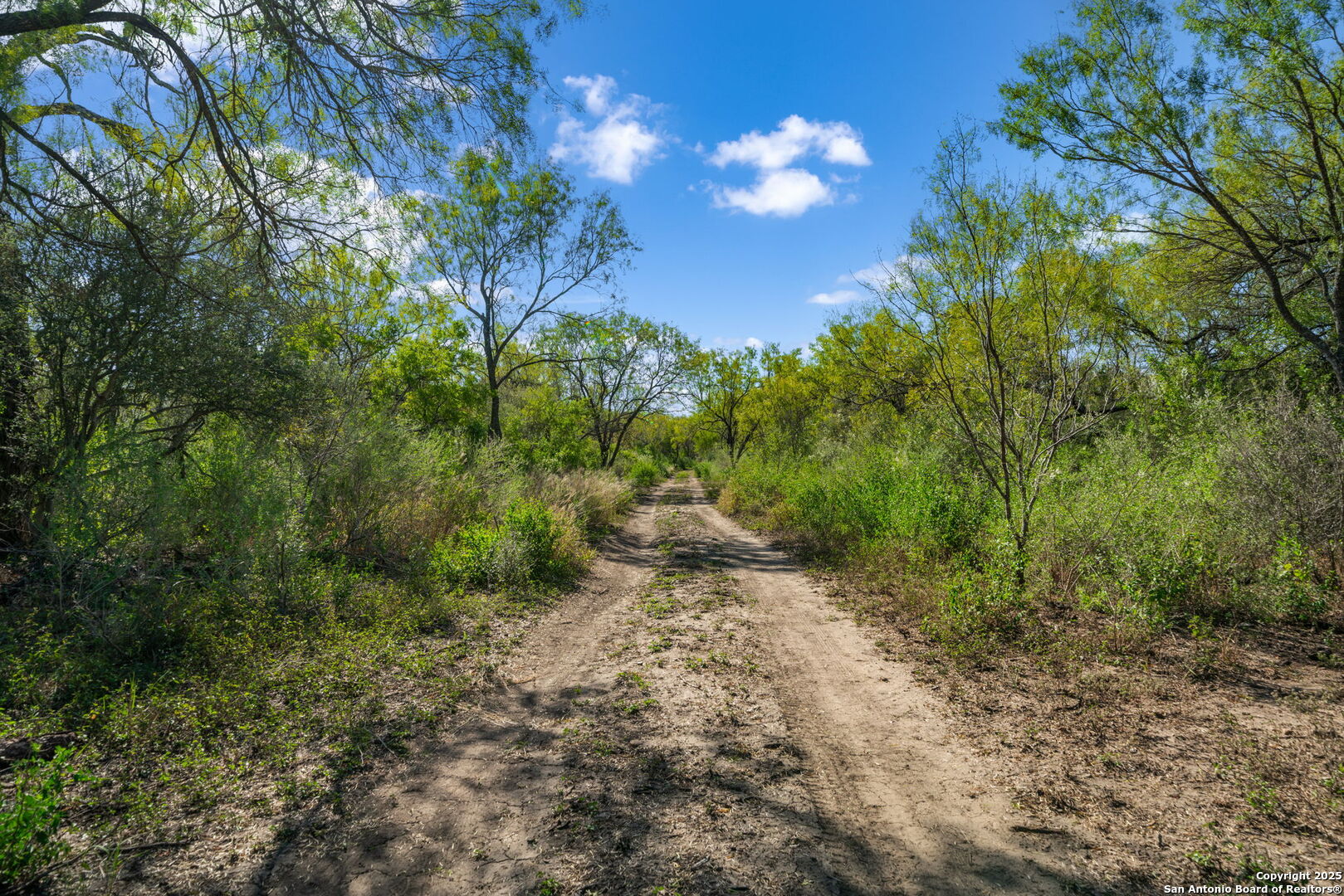14350 Interstate 35, Von Ormy, TX, 78073 | 1919831 | Realty Texas LLC