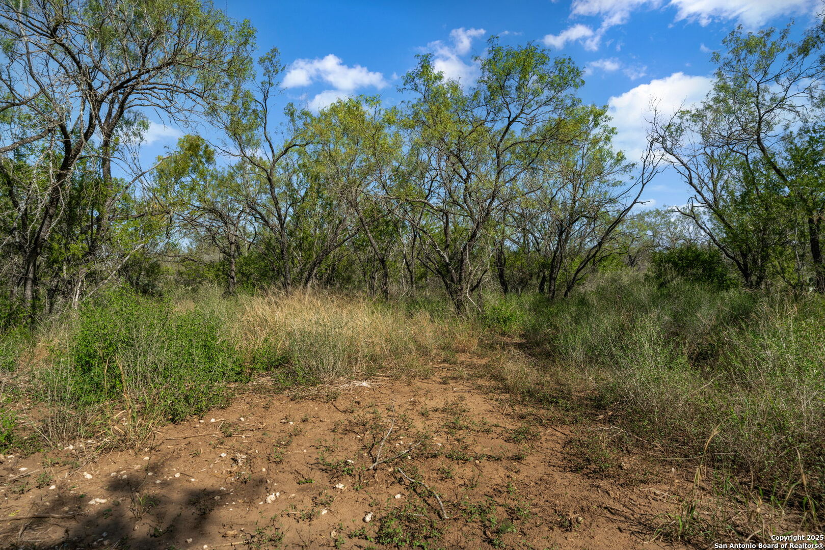 14350 Interstate 35, Von Ormy, TX, 78073 | 1919831 | Realty Texas LLC