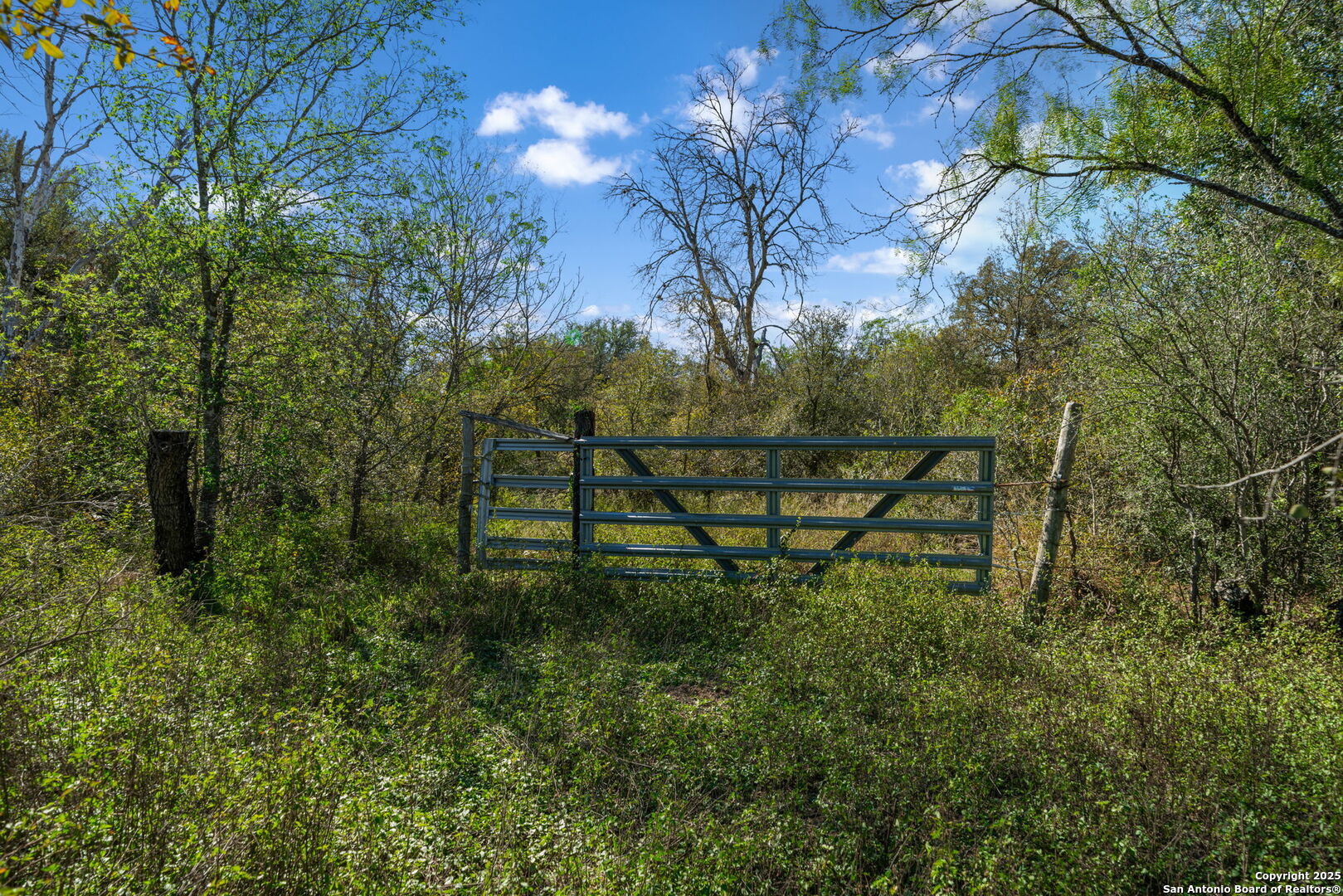 14350 Interstate 35, Von Ormy, TX, 78073 | 1919831 | Realty Texas LLC