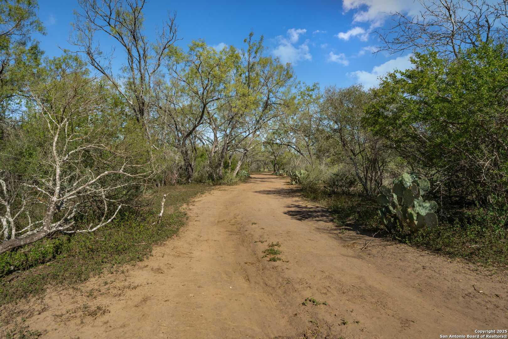 14350 Interstate 35, Von Ormy, TX, 78073 | 1919831 | Realty Texas LLC